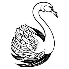Elegant swan depiction in black and white vector illustration for design needs