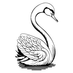 Elegant Swan Line Art Illustration: Graceful Waterbird in Detailed Black and White