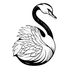 Elegant swan illustration in black and white with graceful contours and smooth lines