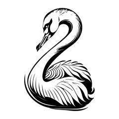 Elegant swan illustration in black and white showcasing minimalistic detail