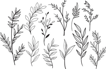 Naklejka premium Botanical Leaf Line Art Set 1 – Handdrawn Vector Foliage Clipart
