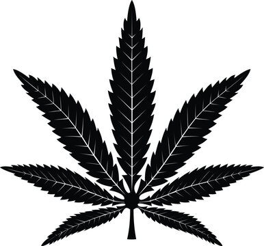 Vintage retro cbd cannabis marijuana hemp pot leaf farm cultivation logo design vector template