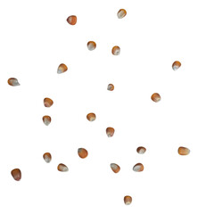 Peeled corn grains falling on white background