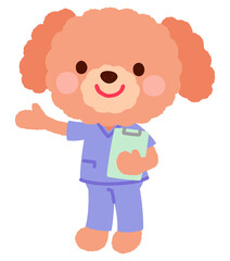 かわいいイヌのお医者さん　スクラブを着たイヌのお医者さん