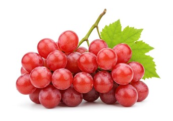 Fototapeta premium A bunch of red grapes with green leaves attached to the stem on a white isolated background view