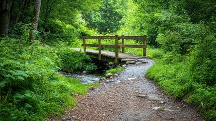 Cozy countryside path leading to a small wooden bridge over a stream, surrounded by greenery on white