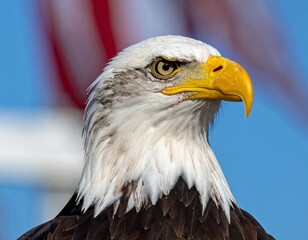 Obraz premium titled