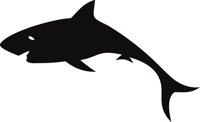 Fototapeta premium Predatory Black Shark in Motion.