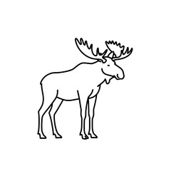 Moose standing with antlers line icon in black and white