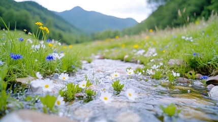 Fototapeta premium Mountain Stream, Flowers, Meadow