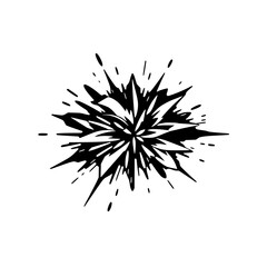 Obraz premium Black Ink Splash Burst on White, Graphic Design Element