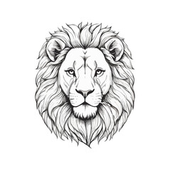 Lion vector