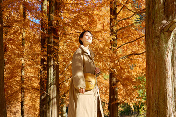 秋の紅葉の中を散歩する女性　ミドルエイジ