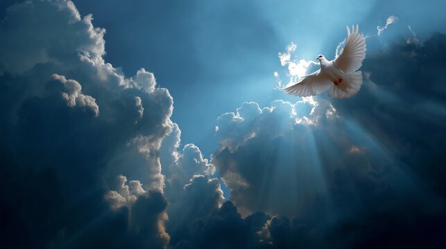 Dove flying through a cloudy blue sky illuminated by beams of sunlight.