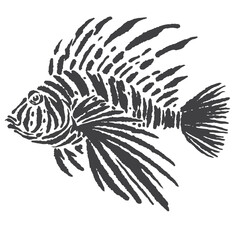vector illustration sketch of the silhouette of a lion fish