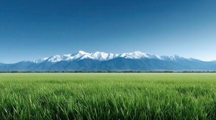 Fototapeta premium Scenic Mountain Landscape: Green Field, Snowy Peaks, Blue Sky