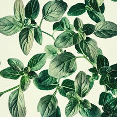 Fresh oregano leaves vibrant green aromatic herb close-up white background culinary ingredient organic glossy texture botanical detail studio lighting high resolution stock photography