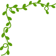 Vine Leaf Corner