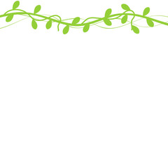 Fototapeta premium Vine Leaf Decoration