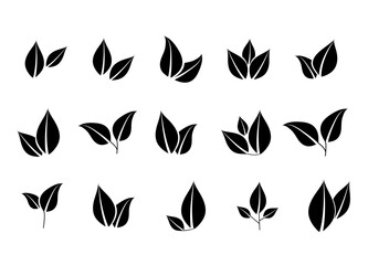 Vector icons of leaves in black and white. Eco-leaf logo.