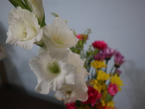 Colorful Flower Arrangement in a Vase