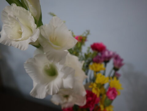 Colorful Flower Arrangement in a Vase