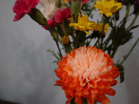 Colorful Flower Arrangement in a Vase