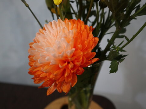 orange flower in the vase design for home decor lifestyle