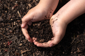 Kid holding soil. Child planting. Small hands with ground. Soil in kids hands. Spring gardening. Farm life for kid. Earth in tiny hands. Rural childhood. Kid holding soil. Kid grasping rich soil.