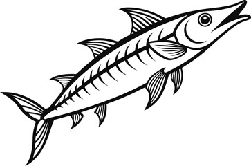 barracuda fish outline vector illustration  on white background