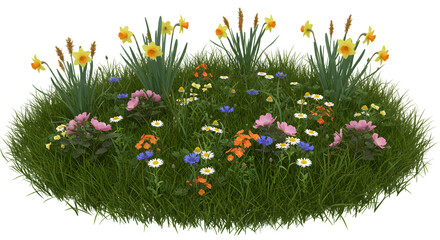 Flower Bed with Daffodils, Roses, and Daisies Growing in Grass