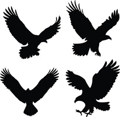 Silhouettes of eagles in flight with majestic wingspans and dynamic poses – black and white minimalist bird of prey vector art, freedom symbolism, wildlife illustration 4K