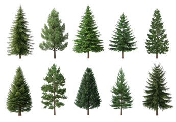 set of christmas trees