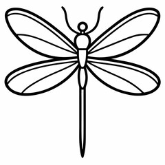 dragonfly on white background