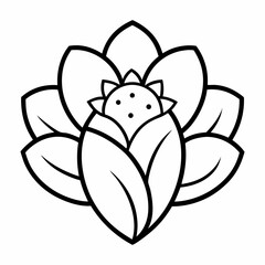 Flower line art on white background 