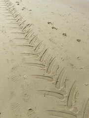 Photographic documentation of tire footprint in sand