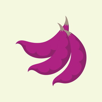 Hyacinth beans flat design cartoon icon illustration