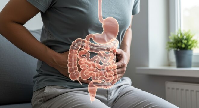 Digestive health awareness understanding gastrointestinal issues in home settings through visual representation of internal organs