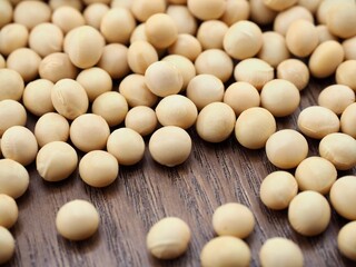 유기농 콩, 음식, 요리재료 