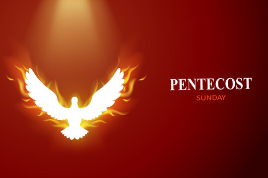Pentecost sunday abstract banner with dove flaying, pentecost fire.Horizontal poster. Website header. Social media post, prayer card