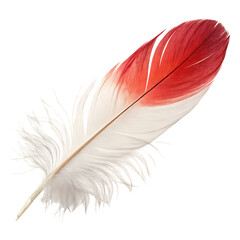 Obraz premium Half White Half Red Bird Feather Isolated on White Background PNG