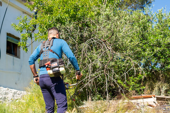 Gardener using brush cutter, cutting weeds and tall grass in garden