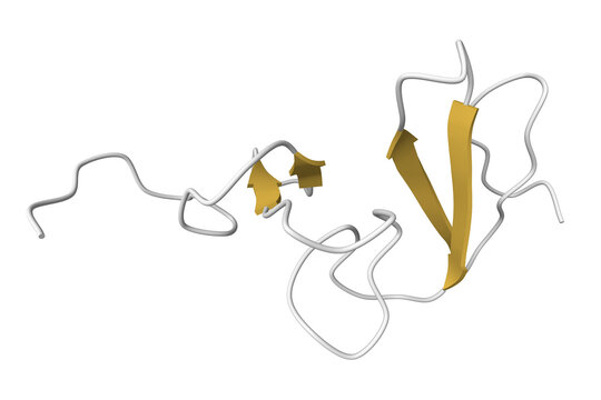 Structure of human granulin A. 3D cartoon and molecular surface models, secondary structure color scheme, pdb 2jye