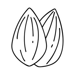 almond icon, almond line art - simple line art of almond, perfect for almond logos and icons