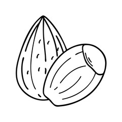 almond icon, almond line art - simple line art of almond, perfect for almond logos and icons