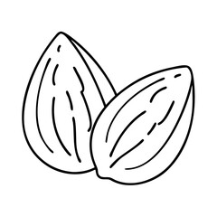 almond icon, almond line art - simple line art of almond, perfect for almond logos and icons