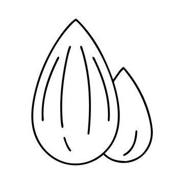 recommend clip art: almond icon, almond line art - simple line art of almond, perfect for almond logos and icons