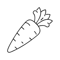 carrot icon, carrot line art - simple line art of carrot, perfect for carrot logos and icons