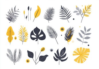 Fototapeta premium vector illustration of a set of feathers