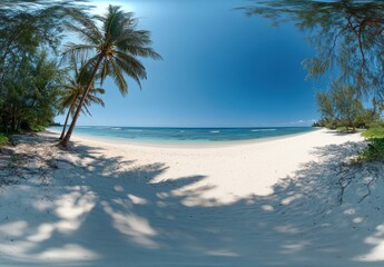 palm trees on the beach